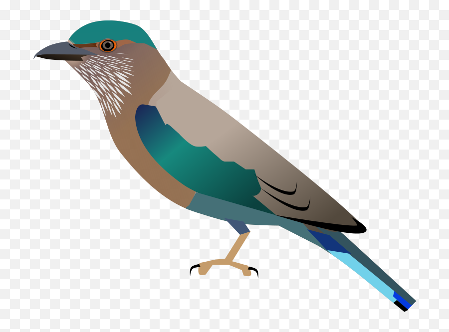 Coraciasbenghalensis - Indian Roller Drawing Easy Emoji,Is There A Feather Emoji
