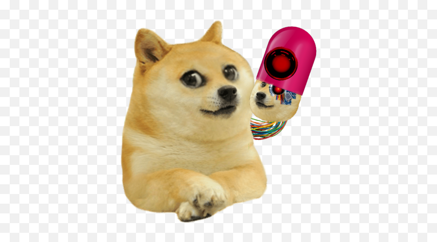 Sad Kid Png Transparent Png Png Group - Kid Doge Png Emoji,Doge Emoji