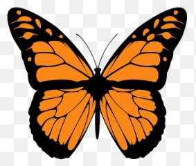 Állati Pillangó Színes Repülési Orange and black - Draw A Monarch Butterfly Emoji