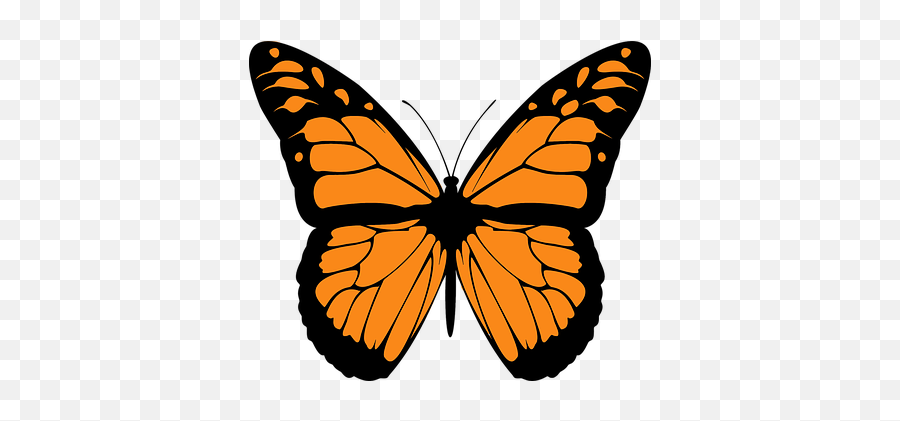 Állati Pillangó Színes Repülési Orange And Black - Draw A Monarch Butterfly Emoji,Butterfly Emoji Iphone