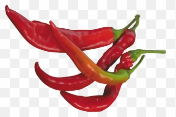 Pepper Png Images Black Green Chilli Pepper Clipart Free - Chili Peppers Transparent Background Emoji,Pepper Emoji