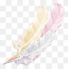 Feather Pink Gold Pinkgold Soft Falling - Feather Emoji,Quill Emoji