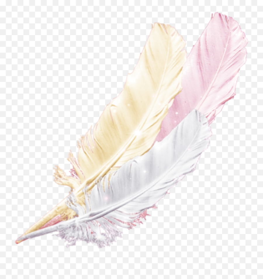 Feather Pink Gold Pinkgold Soft Falling - Feather Emoji,Quill Emoji