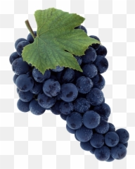 Grapes Clipart Purple Apple - Merlot Emoji