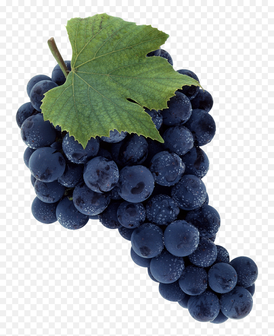 Grapes Clipart Purple Apple Grapes - Merlot Grape Emoji,Grapes Emoji