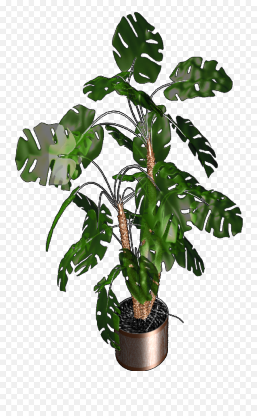 Plant H Potted - Houseplant Emoji,Potted Plant Emoji