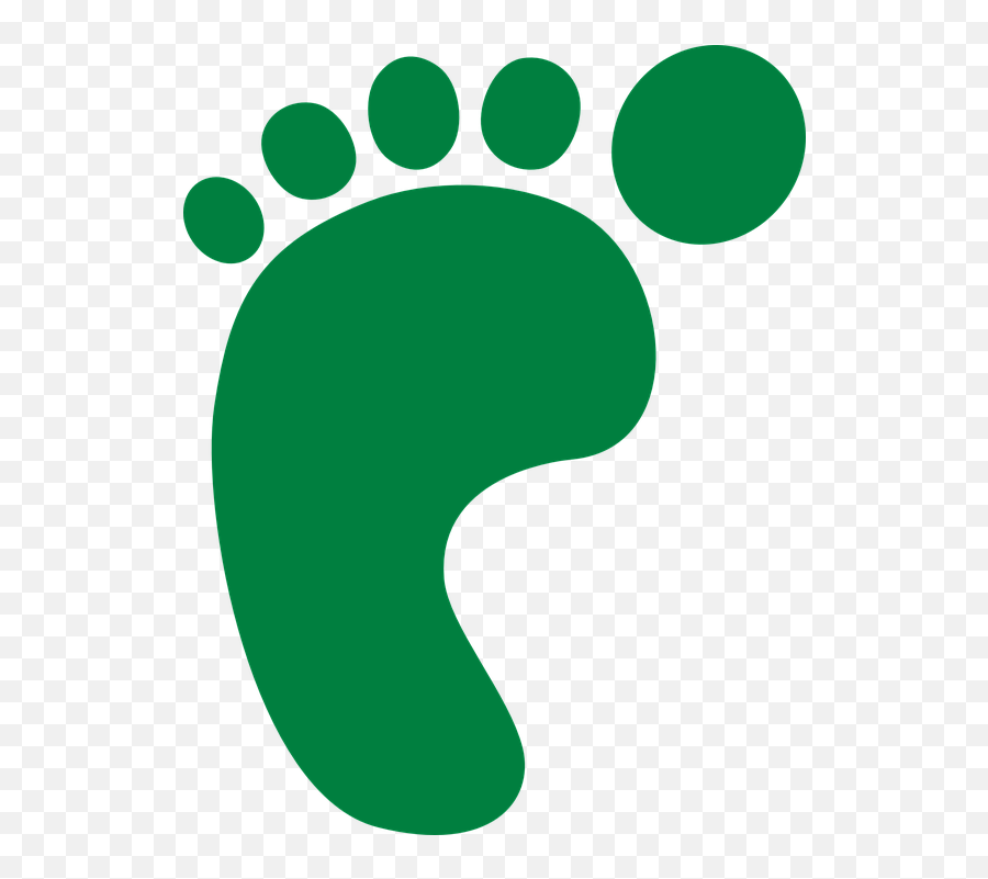 Footprint Left Foot Barefoot - Green Footprint Clipart Emoji,Tiger Bear Paws Emoji