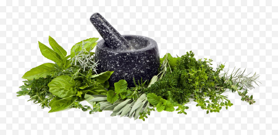 Herb Png Images Free Herb Images - Mortar Pestle Herbs Png Emoji,Herb Emoji