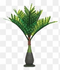 Download HD Lit Palm Trees - Bottle Png With Lights Emoji