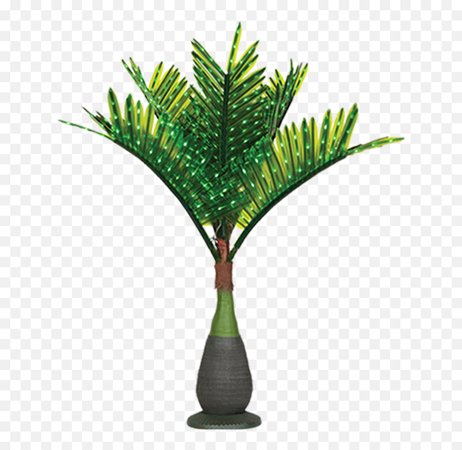 Download Hd Lit Palm Trees - Bottle Palm Tree Png Palm Tree With Lights Png Emoji,Lit Emoji Png