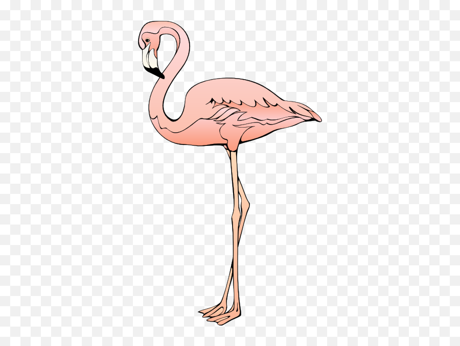 Flamingo Free To Use Cliparts 2 - Free Flamingo Clip Art Emoji,Flamingo Emoji