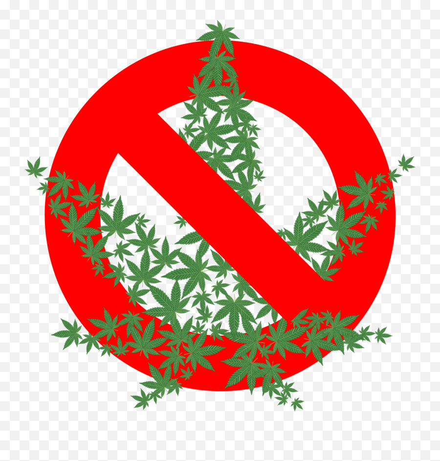 Cannabis Drug Forbidden Hemp Illegal - No Marijuana Clipart Emoji,Marijuana Leaf Emoji