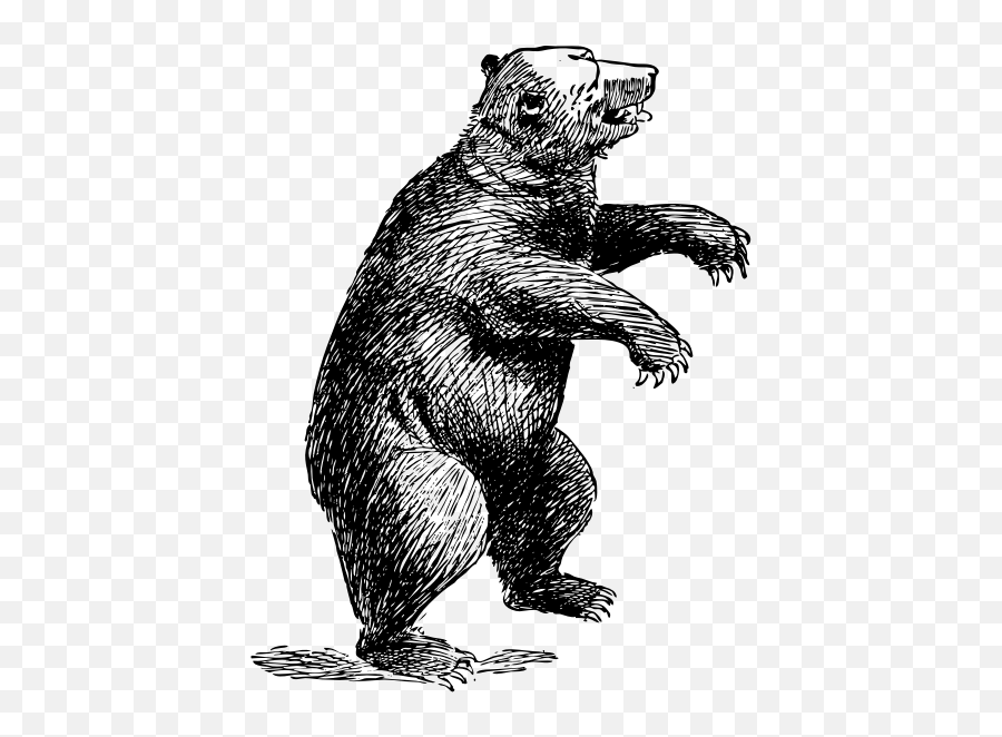 Standing Bear - Bear Drawing Transparent Emoji,Gummy Bear Emoji
