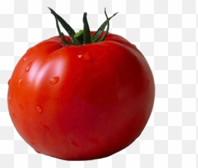 Png Transparent Tomato Png Clipart Free - Tomato Transparent Background Emoji,Find The Emoji Tomato