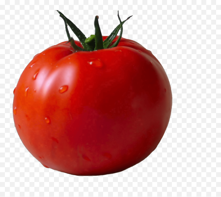 Png Transparent Tomato Png Clipart Free - Tomato Transparent Background Emoji,Find The Emoji Tomato
