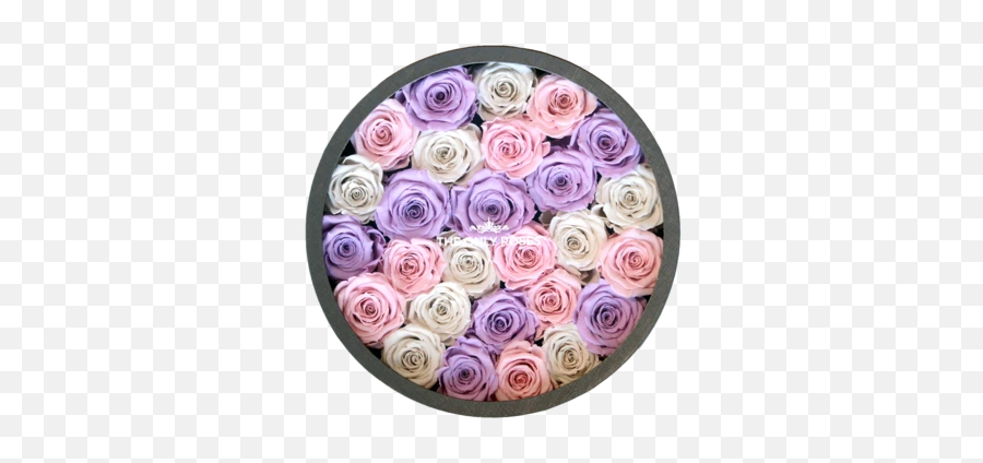 Large Round Classic Grey Box U2013 Theonlyroses - Garden Roses Emoji,Bouquet Emoji