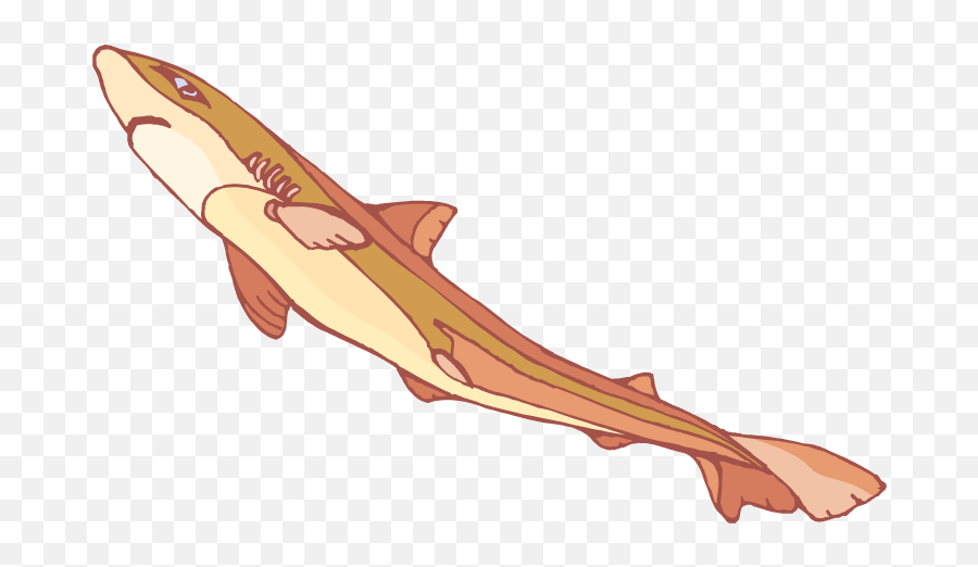 Clipart Shark Traceable Clipart Shark Traceable Transparent - Requiem Shark Emoji,Shark Fin Emoji