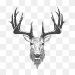 face PNG and vectors for Free Download - DLPNGcom Deer Face Drawn Emoji