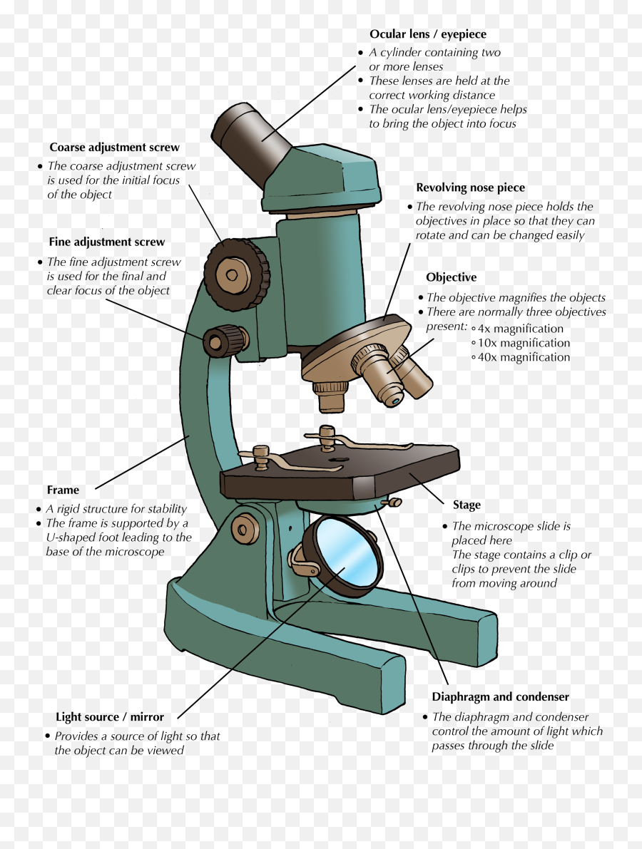 Epifluorescence Microscope Diagram Full Hd Version Emoji,Microscope Emoji