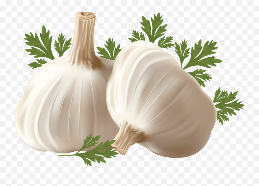 Vegetables Garlic Healthy Fruits - Fresh Garlic Emoji,Garlic Emoji