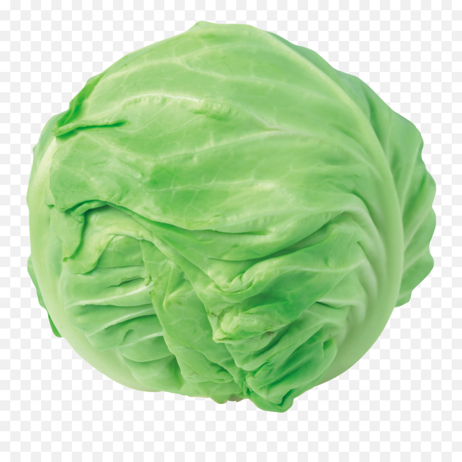 Cabbage Clipart Cabagge Cabbage - Cabbage Png Clipart Emoji,Cabbage Emoji