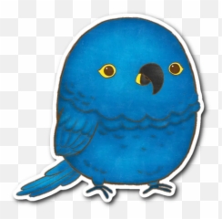 Cute Parrot Bird Stickers - Illustration Emoji