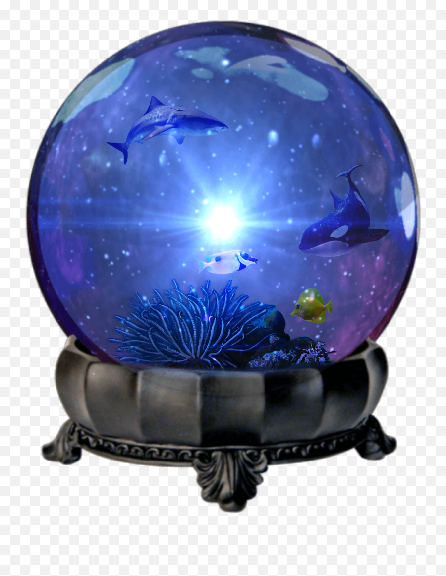 Crystal Ball Shark Tiburon Orca Coral Emoji,Magic Ball Emoji