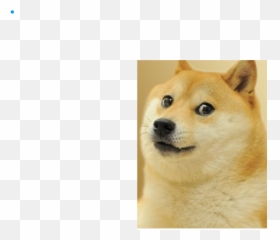 Doge Maker 1 1 1 - Cat Memes Without Words Emoji,Doge Emoji