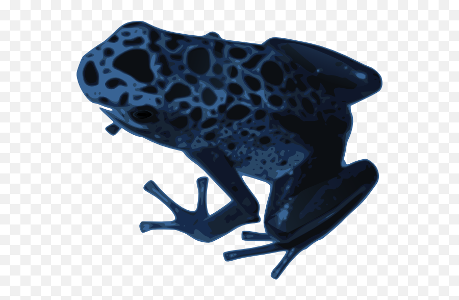 Frog Png - Free Cliparts U0026 Png Blue Frog Cartoon Frog Frog Posion Dart Frog Transparent Background Emoji,Frog Coffee Emoji