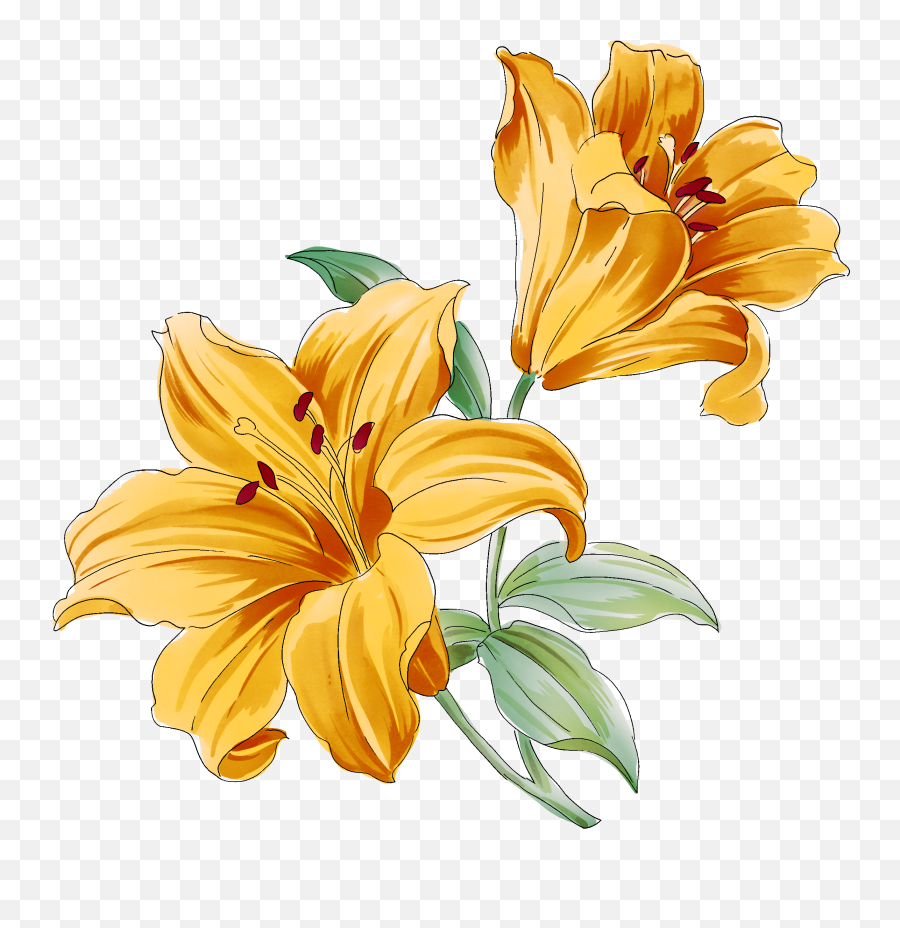 Lily Flower Sticker By Irisxxxo - Yellow Lily Drawing Emoji,Lily Flower Emoji
