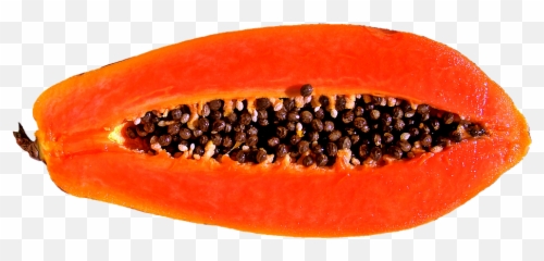 Library Nights Outfit - Papaya Good For Pregnant Women Emoji,Papaya Emoji