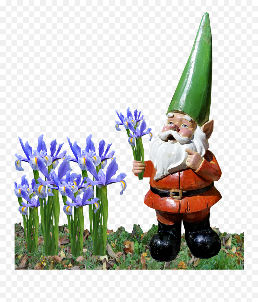 Gnome Iris Garden Free Pictures Free - Iris Emoji,Garden Gnome Emoji