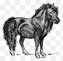 Free Pony Horse Vectors - Shetland Pony Vector Emoji,Horse Emoji