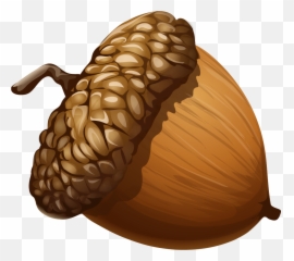 1020 Acorn Free Clipart - Acorn Png Emoji,Acorn Emoji