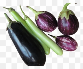 Eggplant Transparent Large Picture 1061615 Eggplant - Brinjal Eggplant Emoji,Veiny Eggplant Emoji