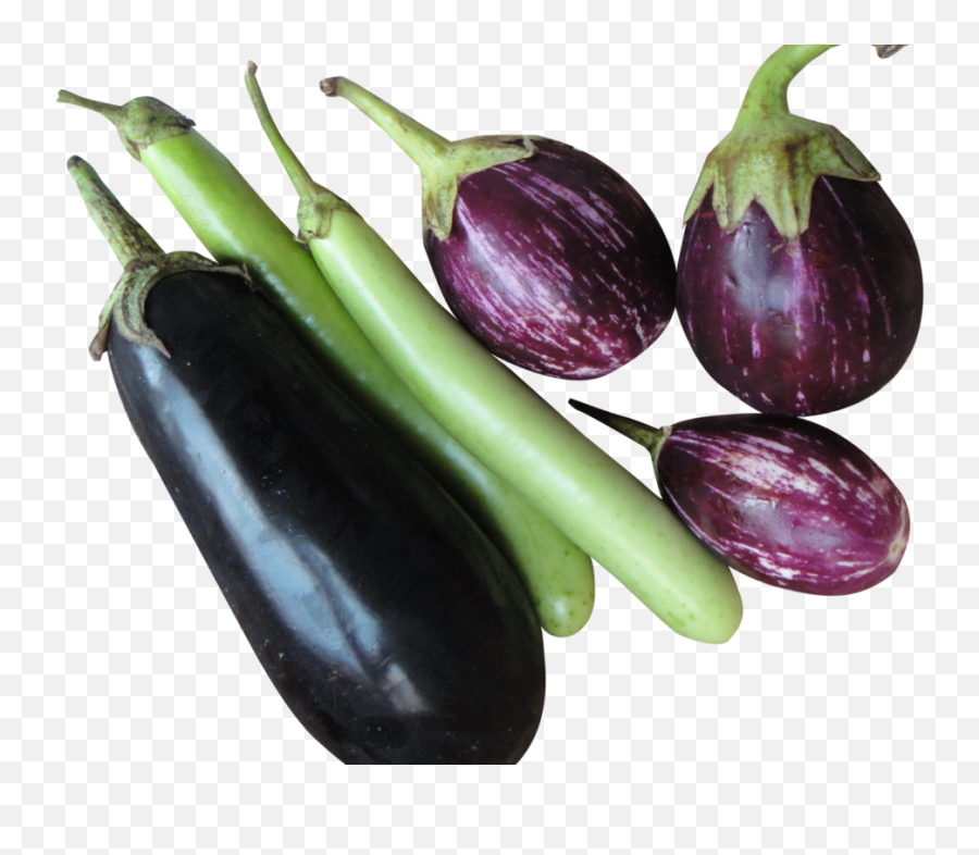 Eggplant Transparent Large Picture 1061615 Eggplant - Brinjal Eggplant Emoji,Veiny Eggplant Emoji
