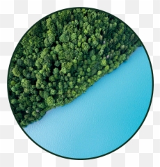 aesthetic background aetheticbackground water wood fore - Broccoli Iphone Emoji