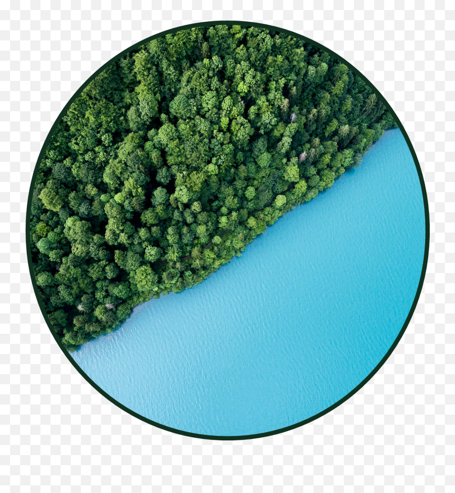 Aesthetic Background Aetheticbackground Water Wood Fore - Broccoli Iphone Emoji,Fore Emoji