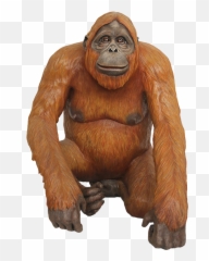 Transparent Background Clipart Orangutan - Png Emoji