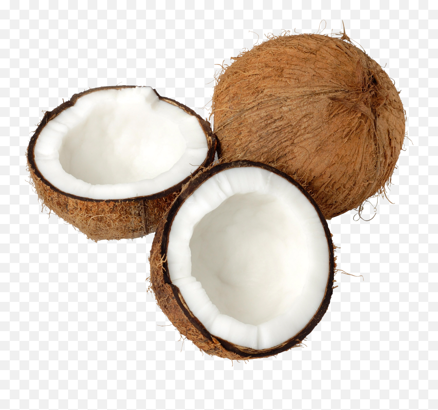 Coconut Icon - Transparent Coconut Png Emoji,Coconut Emoji Iphone
