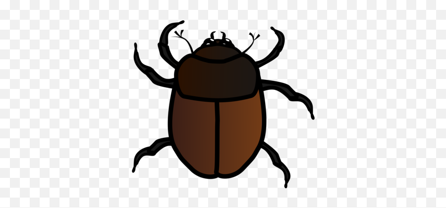Drawing Bugs Water Beetle Transparent Png Clipart Free - Beetle Clipart Emoji,Beetle Emoji