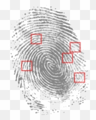 Fingerprint Detective Criminal Evidence - Crime Scene Criminal Fingerprint Emoji,Iphone 5s Emojis