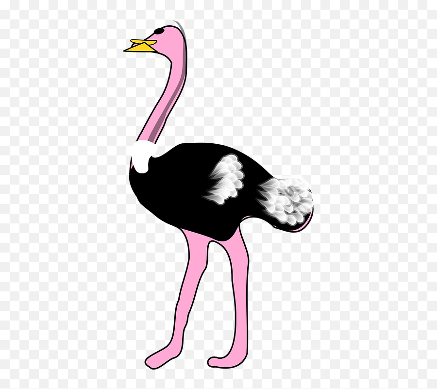 Ostrich Bird Animal - Ostrich Clipart Emoji,Pink Flamingo Emoji