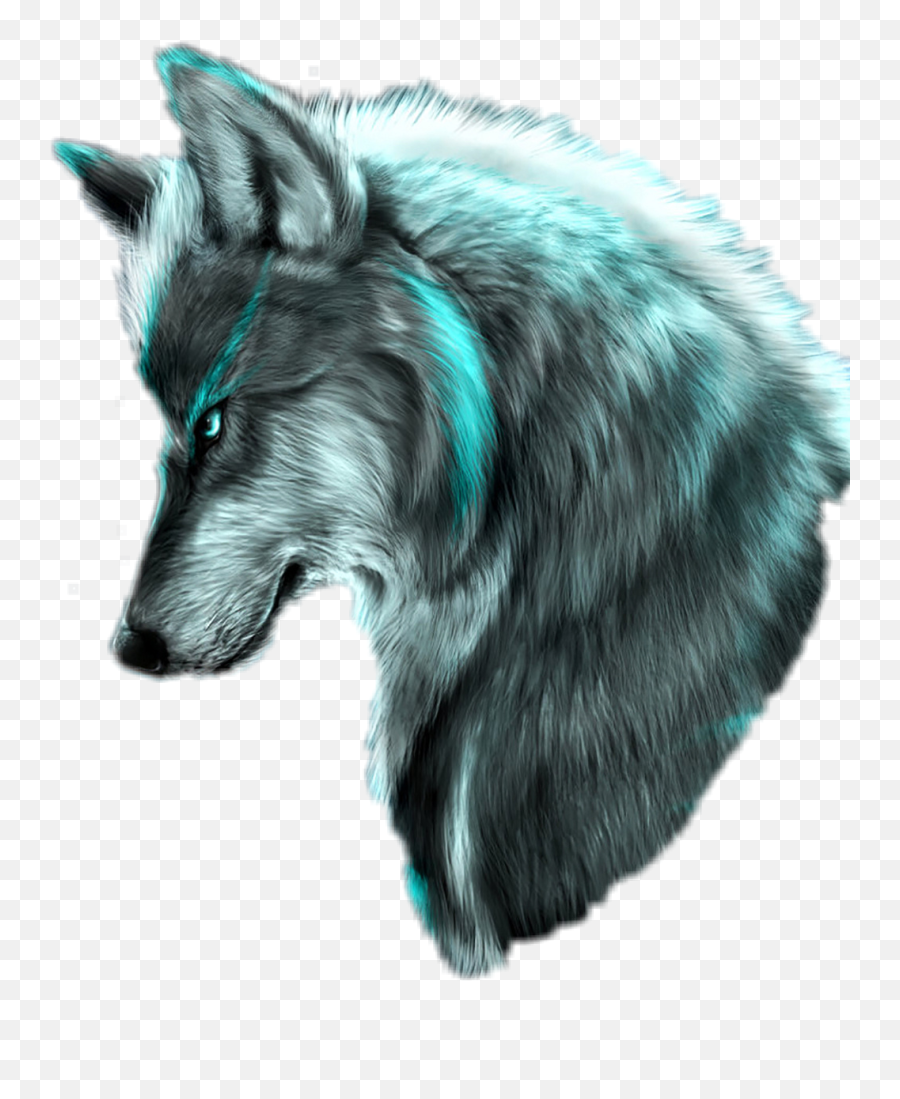 Wolf - Silver Wolf With Blue Eyes Emoji,Silver Fox Emoji