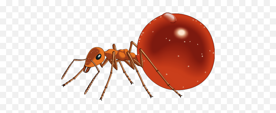 Honey Pot Emoji - Honey Ant Clipart,Honey Emoji