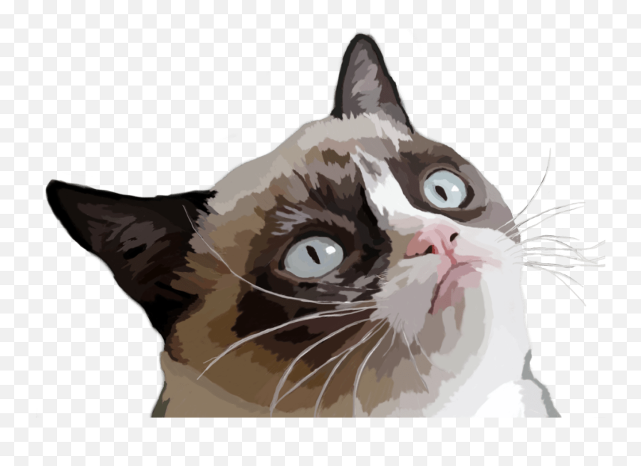 Grumpy Cat Vector Illustration Transparent Png - Grumpy Cat Emoji,Grumpy Cat Emoji