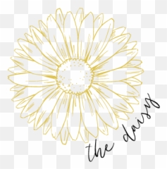 The Bridal Experience Boho - Barberton Daisy Emoji