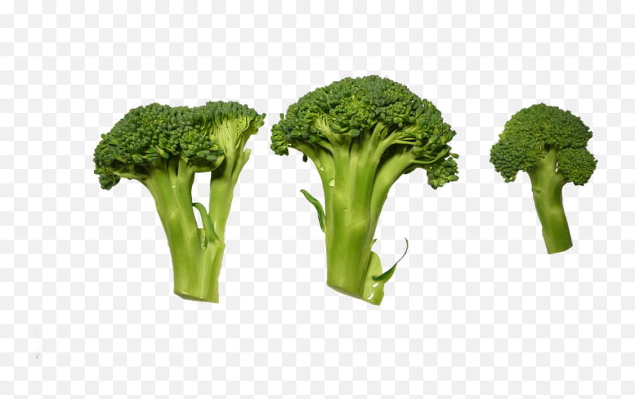 Free Broccoli Food Images - Png Image Verduras Png Emoji,Eye Roll Emoji