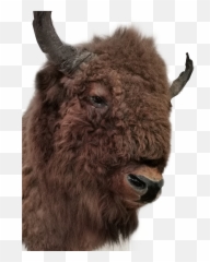 Wisent Büffel - Bison Emoji,Yak Emoji