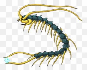 Drawing Insect Centipede Transparent - Insect Emoji,Centipede Emoji